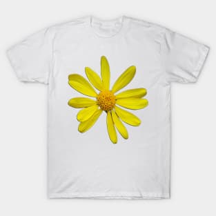 Isolated Yellow Daisy Cutout T-Shirt